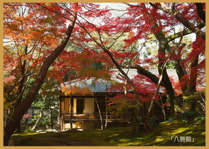 八勝館